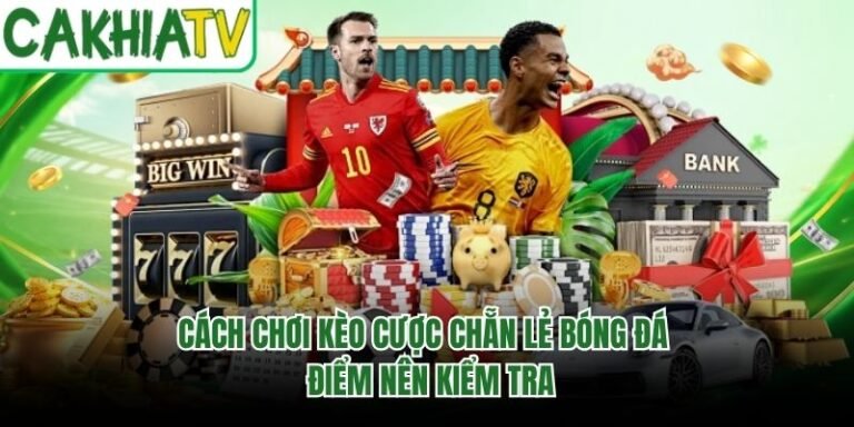 Cách Chơi Kèo Cược Chẵn Lẻ Bóng Đá - Điểm Nên Kiểm Tra